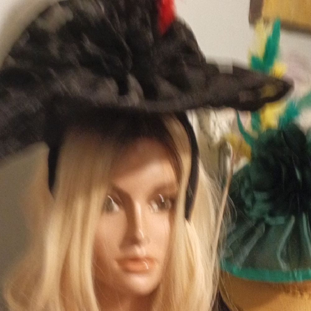 Elegant Black Women's Hat